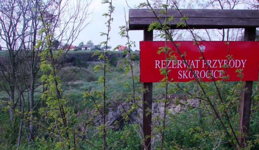 Rezerwat w Skorocicach