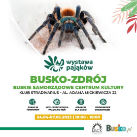 Wystawa pająków
